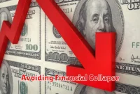 Avoiding Financial Collapse Avoiding Financial Collapse
