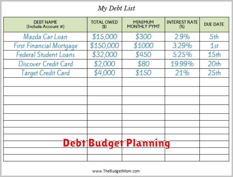 Debt Budget Planning